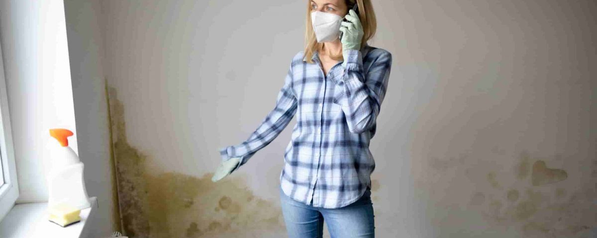 Feuchtigkeit der Wände