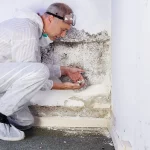 Fachmann inspiziert Wand mit Salpeter und aufsteigender Feuchtigkeit – Feuchtigkeitsschäden durch Kapillarfeuchtigkeit