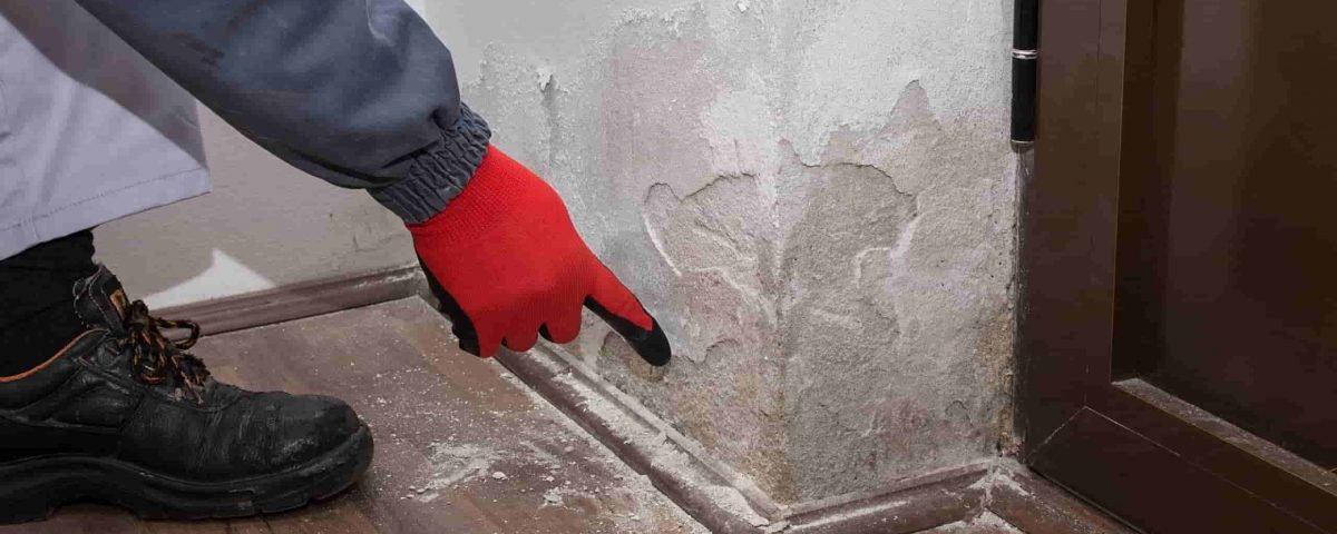 Feuchtigkeitsnachweis an Sockelleiste – Fachmann zeigt Schäden durch Kapillarfeuchtigkeit im Mauerwerk