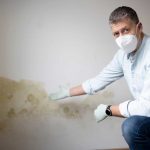 Fachmann mit Atemschutz begutachtet Feuchtigkeitsflecken an Wand – Professionelle Feuchtigkeitsdiagnose