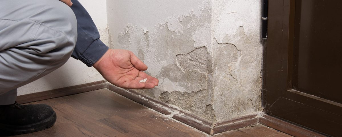 Untersuchung von Feuchtigkeitsschäden mit abblätternder Farbe durch aufsteigende Feuchtigkeit