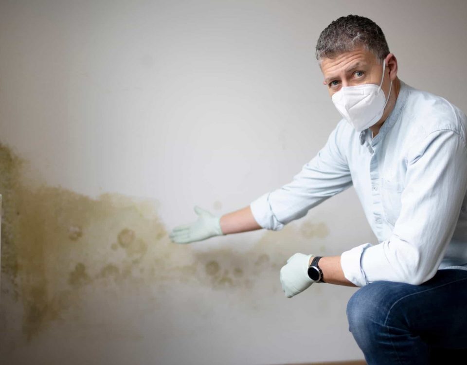 Experte mit Schutzmaske zeigt auf Feuchtigkeitsflecken an Wand