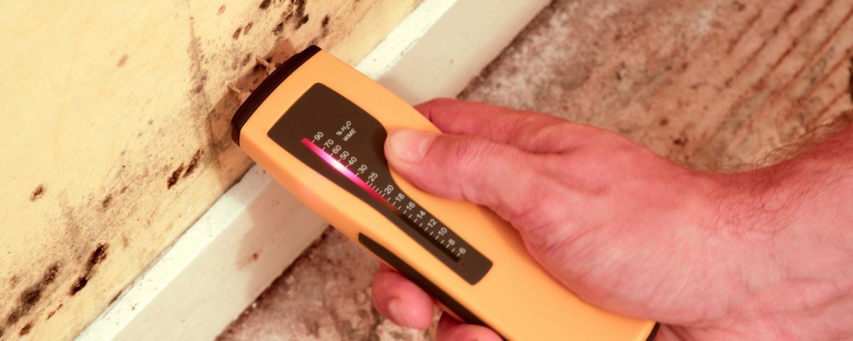 Aufsteigende Feuchtigkeit in der Wand