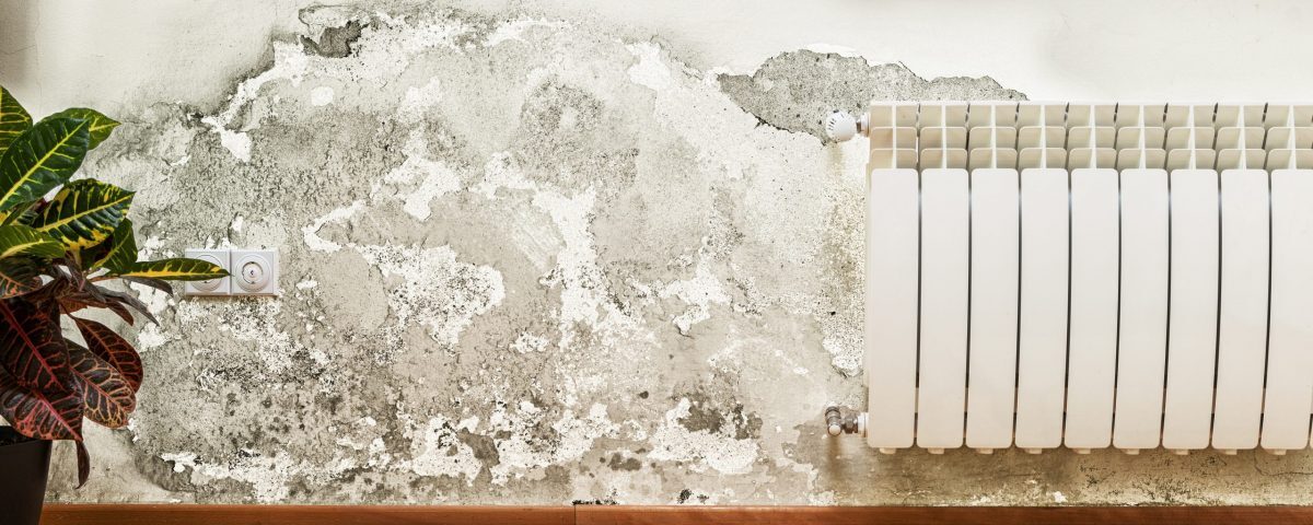 Feuchtigkeit der Wände