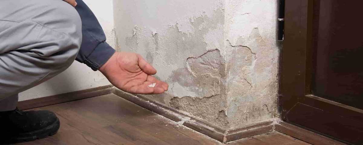 Abblätternde Farbe und beschädigte Plinthe durch aufsteigende Feuchtigkeit – Typische Mauerfeuchte-Schäden