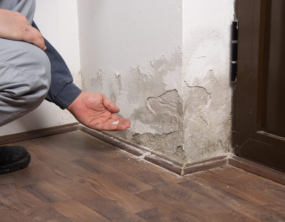 Untersuchung von Feuchtigkeitsschäden mit abblätternder Farbe durch aufsteigende Feuchtigkeit