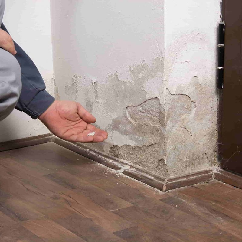 Person zeigt auf abblätternden Putz und Farbe durch Wandfeuchtigkeit